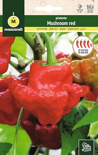Mascarell Semillas, PIMIENTO, Semillas Huerto, PIMIENTO MUSHROOM RED, Crea tu Propio Huerto Urbano y Cultivo en Casa, Plantas Hortícolas, 0,3 Gramos