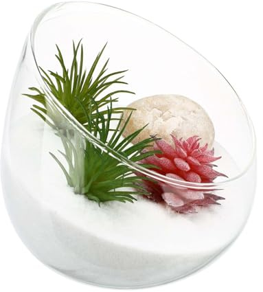 Abaodam Mikrolandschaft Glasflasche als Süßigkeiten Schale aus Borosilikatglas Nicht Leicht Zerbrechlich Elegante Dekorative Flaschendekoration für Innenräume und Schlafzimmer
