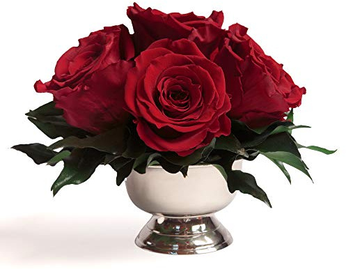 ROSEMARIE SCHULZ Heidelberg Infinity Rosen in Silberfarbener Schale - 6 Konservierte, Langhaltende Blumendeko für den Tisch - Rosenbox (Burgundy)
