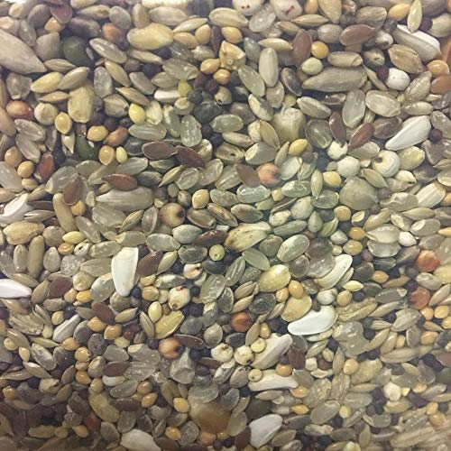 Taubenfutter Premium Boarding Mix für Brieftauben 4 kg - Futter direkt vor dem Einkorben