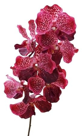 HXSCOO Simuliertes Blumengefühl, Vanda-Orchidee, Hochzeit, Heimdekoration, Blumenarrangement, Orchideen-Corsage, Handstrauß (Color : Dark pink)