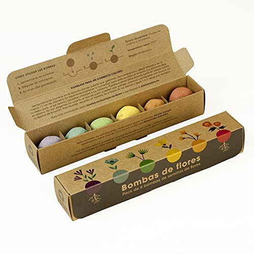 Pack 6 Bombas de Semillas – Flores Silvestres | Cultiva en Casa | Regalo Original y Sensorial | Resetea