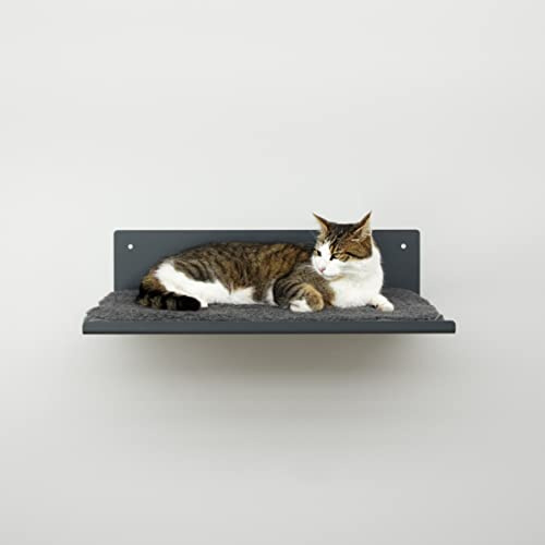 LucyBalu® Straight Wandliege Katzen Woll-Auflage Anthrazit | Freischwebender Schlafplatz für die Wand, robuste Metallhalterung, mit Woll-Bezug