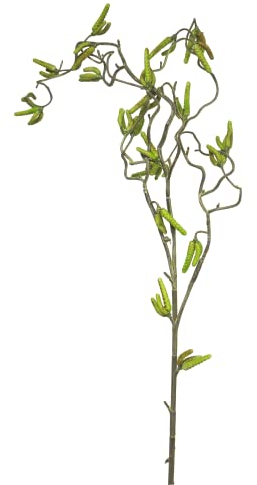 mucplants Haselnusszweig Korkenzieherhasel 100cm künstlicher Zweig Korkenzieherzweig Hasel künstlicher AST Kunstast Kunstzweig