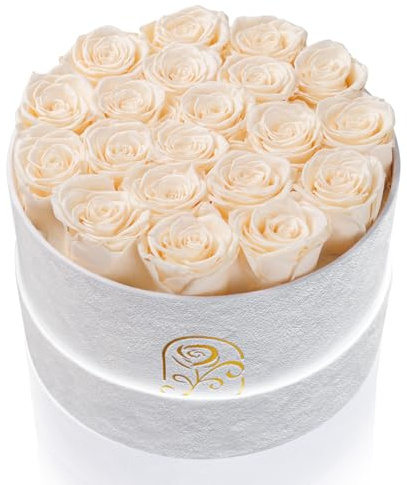 Gifts for Women Preserved Roses Flower Box, Luxury Velvet Box with 20 Roses, Preserved Flowers, Romantic Gift for Her, Wife, Girlfriend, Birthday Anniversary Christmas (Buttermilk)