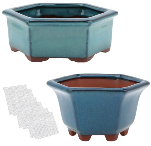Bonsai-Pflanzgefäß, klein, für Sukkulenten, glasiert, 12,4 cm und 15,5 cm + 6 weiche Netz-Entwässerungsgitter, 2 Stück