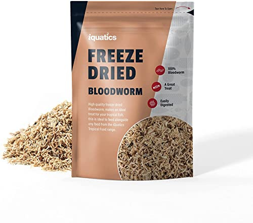iQuatics Bloodworm Fish Food Freeze Dried for Tropical Fish, 10g