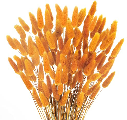 HUAESIN 120PCS Erba della Pampas Fiori Secchi Coda di Coniglio Bouquet Fiori Secchi Naturali Erba Coda di Coniglio Arancione Fiori di Pampas Decorative per Casa Festa Matrimonio