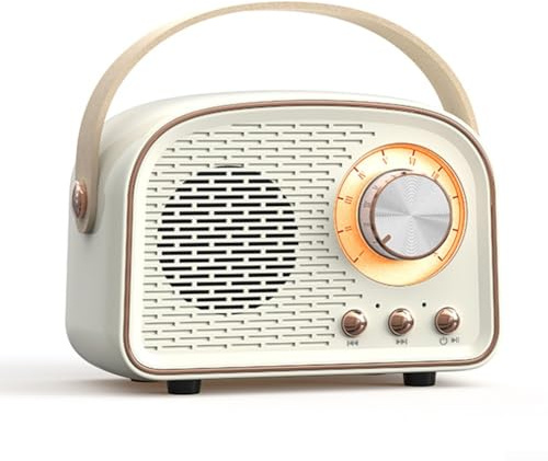Hasaller Retro Radio Mini Wireless Speaker Portable Speaker With FM Radio Small Blue-tooth Speaker Retro Radio Blue-tooth Speaker Rechargeable Loud Volume Blue-tooth Speaker(White)