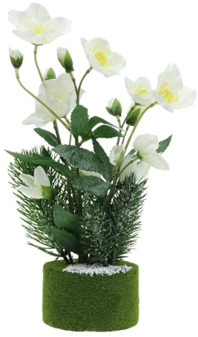 Viana Christrose künstlich Weiß, beschneit mit Tanne im Moosballen, 33cm Winterdeko
