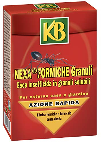 Nexa Formiche Granuli 800 g KB