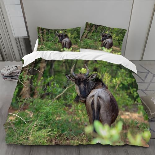 BAIL Housse de Couette 240 x 260 ForêT Housse Couette Très Doux Parure de Lit Adulte en Microfibr 2 Taies d'oreiller 65 x 65 cm Convient pour Chambre
