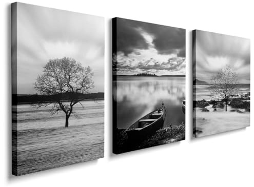 prinfantasy Canvas Wall Art Framed Landscape Pictures for Living Room and Bedroom Black and White Prints for Special Occasions Artwork Wall Decor for Bathroom Kitchen 12x16 Inch 3 Panels YH093