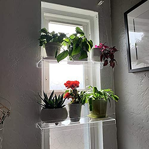 jojnsha Transparentes Acryl-Fenster-Pflanzenregal, 2/3 Schichten, transparentes hängendes Wandregal, Blumentopf-Regal, Pflanzgefäßständer, Dekoration