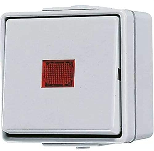 Jung 606KOW Wipp-Kontrollschalter Universal aus-Wechsel