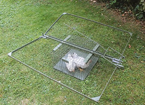 Kieferle Vogelfangkorb Mod. D, Größe 60 x 54 x 100 cm, Leichter Stahlrahmen, abnehmbare Lebendköderbox, 1 Stück