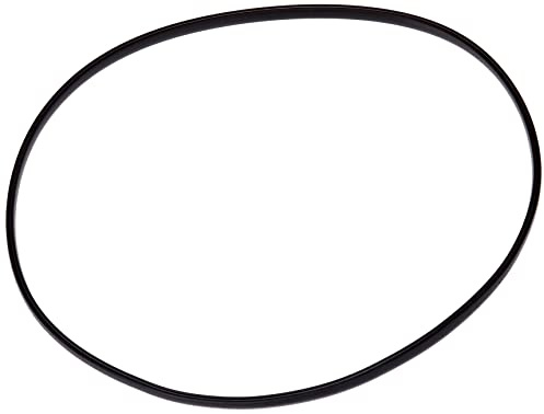 Barazzoni Ricambi Blister Guarnizione Amelia/Bonita/Vapomania, 3.5 litri, Gomma, Nero