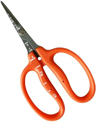 CHIKAMASA B-500SF Stainless Steel Fluorine Treated Grape Care Shears