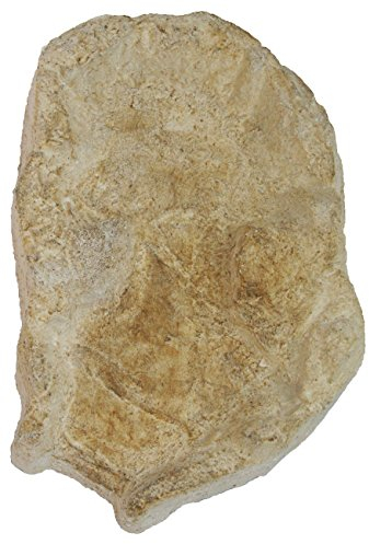 Wasserkaskaden Wasserfall Fulda Verlängerung Fels, Beige/Braun, 60 x 41 x 8 cm