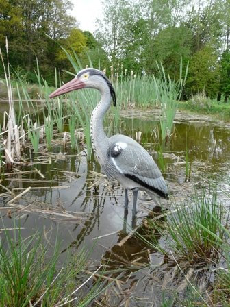LEURRE HERON (784) dissuade HERON, OISEAUX, chats et Predators From Your poisson bassin