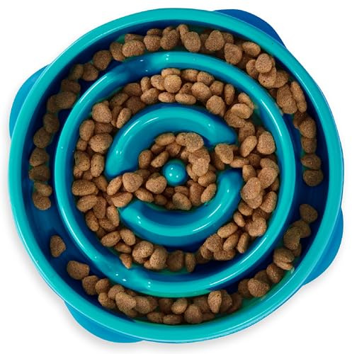 Outward Hound Fun Feeder Slo-Bowl - Ciotola Anti-ingozzamento per Cani - Medio - Turchese