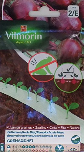 Vilmorin 2 Cintas de 40 Semillas Remolacha DE Mesa Grenade HF1 (Cultivo fácil)