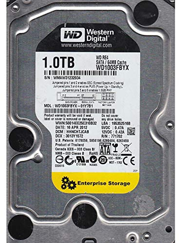 WD RE Entreprise WD1003FBYX Disque dur interne 3.5'' SATA II 7200 tours/min Mémoire cache 64Mo 1 To