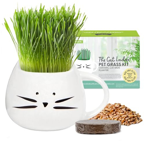 The Cat Ladies Organic Cat Grass for Indoor Cats - Growing Kit with Organic Seed Mix, Soil and White Cat Planter. Natural Hairball Control and Digestion Remedy, Cat Gifts