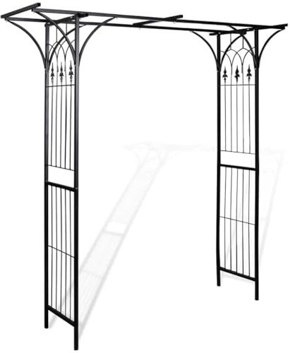 vidaXL Arche de jardin, terrasse, jardin, plantes de jardin, rosiers, arche, pergola