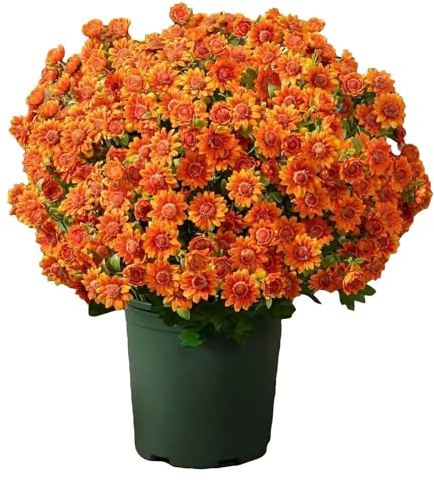 Artificial Flowers Outdoor, 5 Bundles Autumn Flowers, Fake Sunset Chrysanthemum Bouquet,UV-Resistant Faux Greenery Plants Indoor - Garden Decoration for Wedding, Porch,Balcony (Orange)