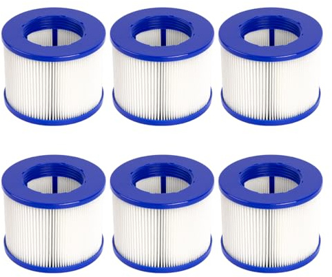 YanBan 6 pièces de Remplacement de Filtre de Type VI Compatible avec GYMAX Le Spa, pour la Plupart des spas, Filtre de Piscine Gonflable