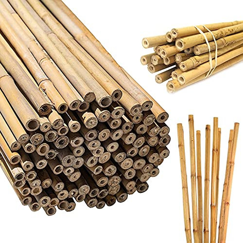 FunkyBuys Thick Bamboo Canes - Heavy Duty, Natural Garden Stakes, Strong Bamboo Sticks for Plant Support - Ideal for Gardens and Outdoor Spaces pack of 10 (3FT, (10-12mm))