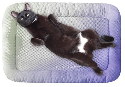 Generisch -Kühlmatte, Kühlunterlage für Hunde und Katzen, weiche, waschbare Sommer-Schlafmatte für Betthütten, Kisten, Bequeme, atmungsaktive -Kühlunterlage, Reisekissen für Welpen, Kaninchen, H