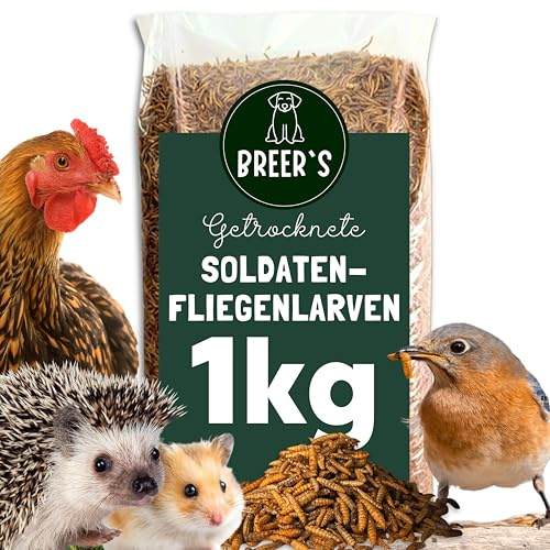 BREERs Soldatenfliegenlarven getrocknet 1Kg Futter Wildvogelfutter ganzjährig Insektensnack Igelfutter Hamster Eichhörnchen