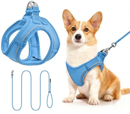 Hundegeschirr mit Leine 255cm M Set, Reflektierend (Blau) | Brustgeschirr Für Mittelgroße Hunde, Atmungsaktives Mesh Gewebe, Anti-Ausbruch, Spaziergang
