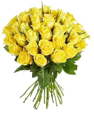 Ramo de Rosas Amarillas Natural con 25 Flores de Color Vibrante y Elegante Rosas para Regalar