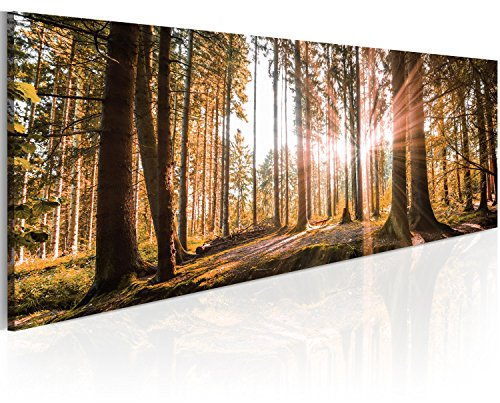 B&D XXL Acrylglasbild Landschaft 120x40 cm 1 Teilig Wandbild auf Acryl Glasbilder Kunstdruck Moderne Acrylglas Platte Wanddekoration Geschenke Heimdekoration Glasbild Wald Bäume Natur c-B-0077-k-d