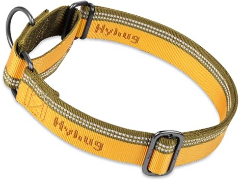 Hyhug Design, Martingale Nylon Klassische Halsbänder ，Anti-Flucht Hundehalsband. 3M Reflektierender Streifen, Komfortabel Verstellbar, Sicherer Nachtspaziergang, Hunde-ID-Tag-Montageloch