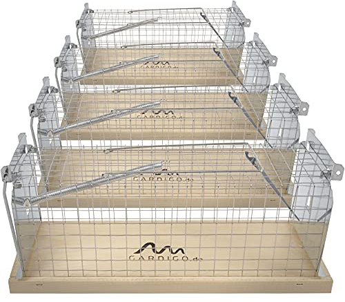 GARDIGO Rattenfalle Lebend aus Holz & Metall, 4er Set, Made in Germany | Wiederverwendbare Lebendfalle für Innen & Außen, leicht zu verwenden und hygienisch, Käfigfalle für Ratten