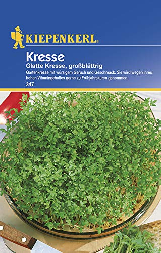 Kiepenkerl 347 Kresse glatte Kresse (Kressesamen)