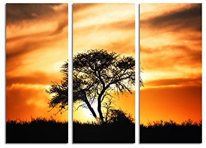 Paul Sinus Art 130x90cm – Keilrahmenbild Sonnenuntergang Akazienbaum Wüste Afrika 3teiliges Wandbild auf Leinwand und Keilrahmen - Fotobild Kunstdruck Artprint