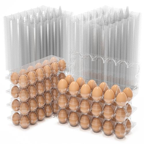 100 Stück Eierkartons, 12 Stück, transparent, leere Eierkartons für frische Hühnereier, 2 x 6 Fächer, wiederverwendbare Eierhalter für den Kühlschrank, Hühnerzucht, Familienaufbewahrung und