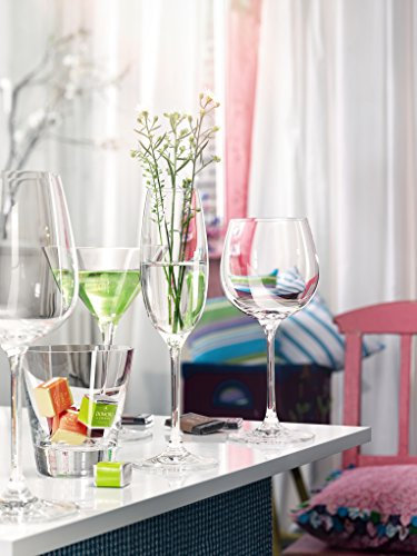 Thomas DiVino Bicchiere da Champagne, Spumante, Prosecco, Calice, Lavabile in Lavastoviglie, 220 ml, 48071