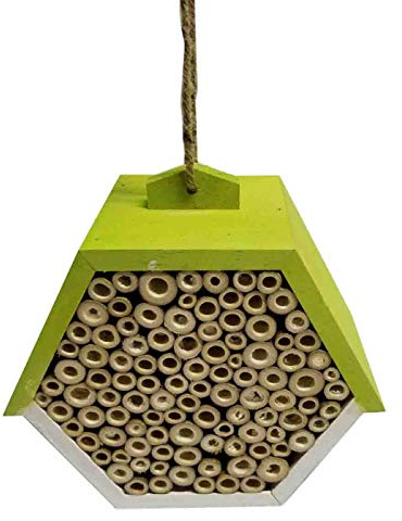Dehner Natura Belfast 4445235 Insect Hotel Approx. 19.5 x 18 x 11 cm Pinewood/Bamboo Light Green 900 g