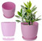 KADAX Flowerpot, fioriera con sottobicchieri, secchio di fiori rotondi in plastica, pentola Matt per cactus, felci, trama luccicante per balcone, appartamento e terrazza (⌀ 18 cm, rosa)