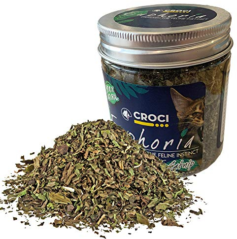 Croci Euphoria - Catnip Glas, essbare Katzenminze, für Katzen, 25g