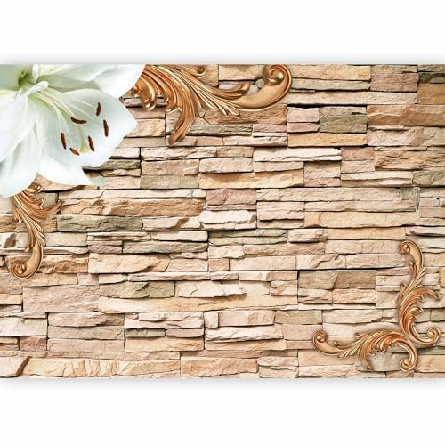 Fotomurales B&D XXL - 350x256 cm XXL Papel pintado tejido no tejido Decoración de Pared decorativos Murales moderna Diseno Fotográfico Piedras Flores f-C-0123-a-d