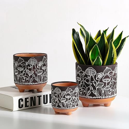 Happy Shrooms Lot de 3 Pots de Fleurs en Terre Cuite avec Drainage pour Plantes d'intérieur Marron Terre
