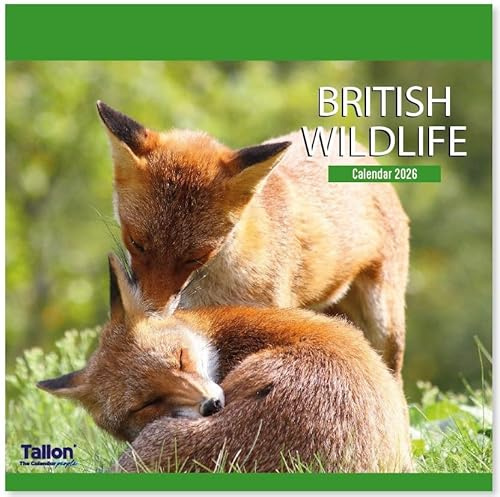 2026 British Wildlife & Birds Month To View Calendar Wall Hanging Nature Themed Family Planner Large Square Organiser (British Wildlife 2026)