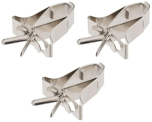 3 pezzi Porta cibo per gabbia per uccelli Porta osso di seppia in acciaio inox per frutta e verdura Clip per cibo per pappagalli, criceti, ratti Accessori per gabbia per uccelli osso di seppi
